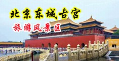 丝袜美女我要射了中国北京-东城古宫旅游风景区